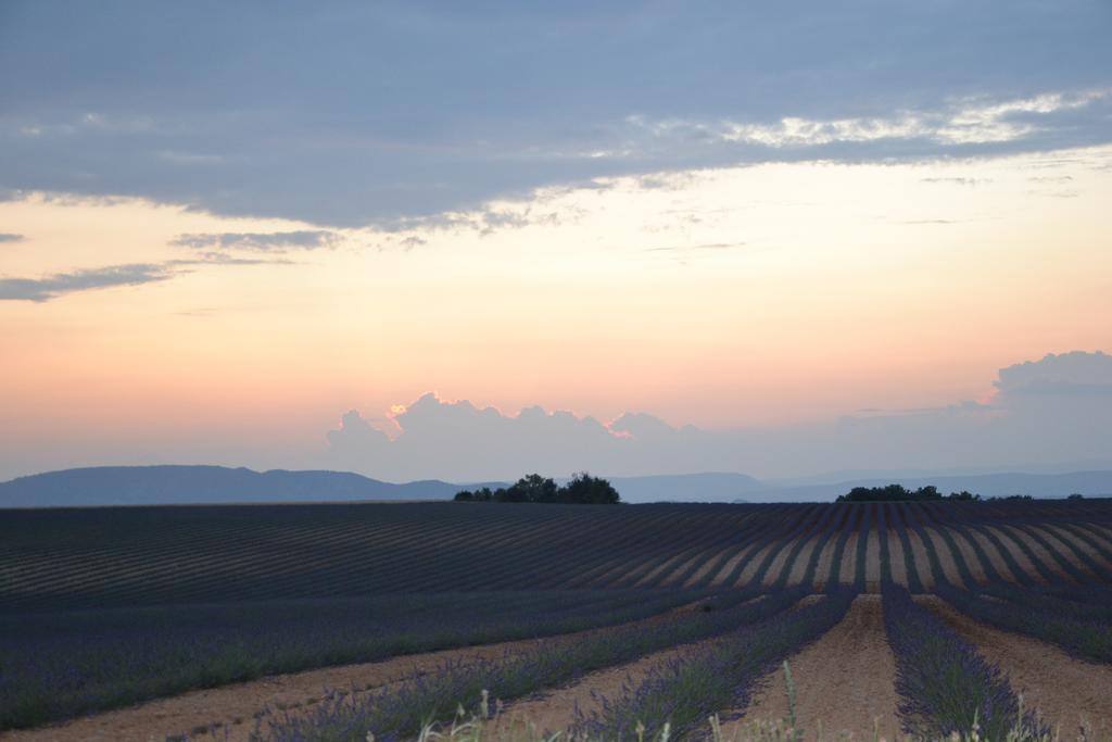 Les Terrasses De Valensole Bed and Breakfast Εξωτερικό φωτογραφία