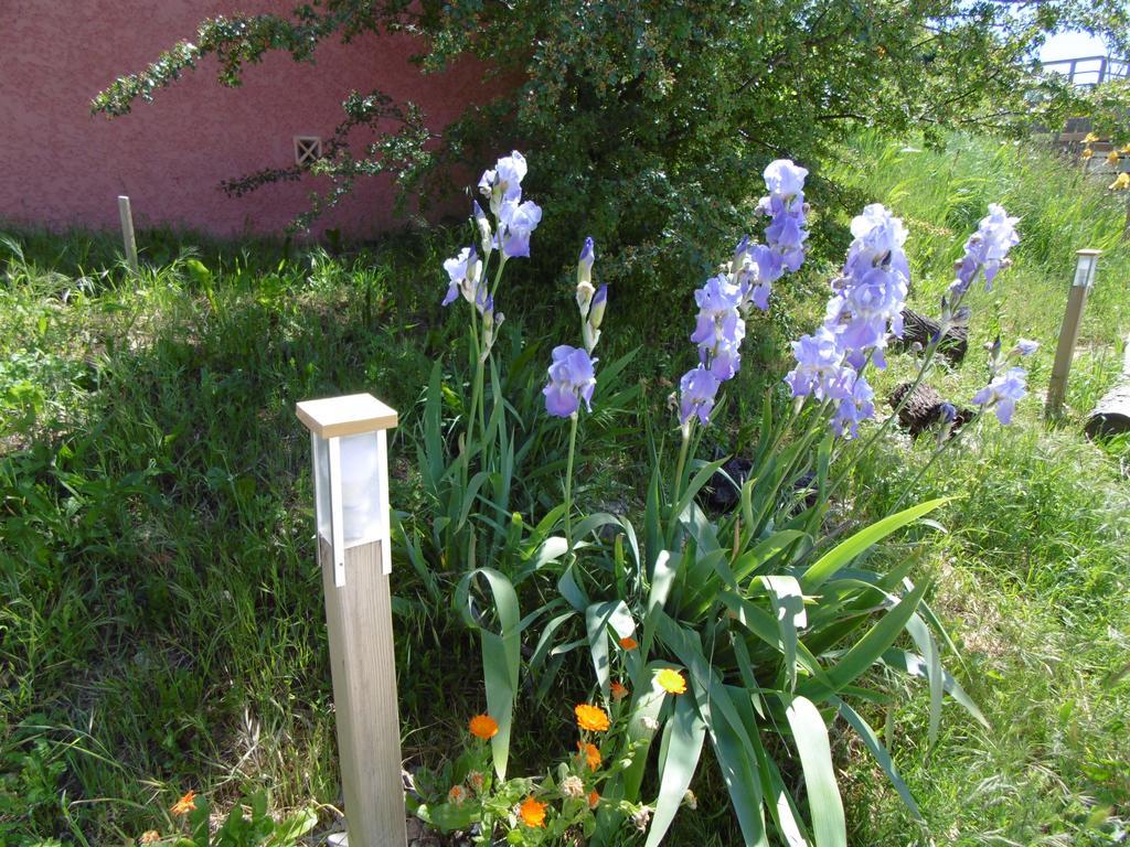 Les Terrasses De Valensole Bed and Breakfast Εξωτερικό φωτογραφία
